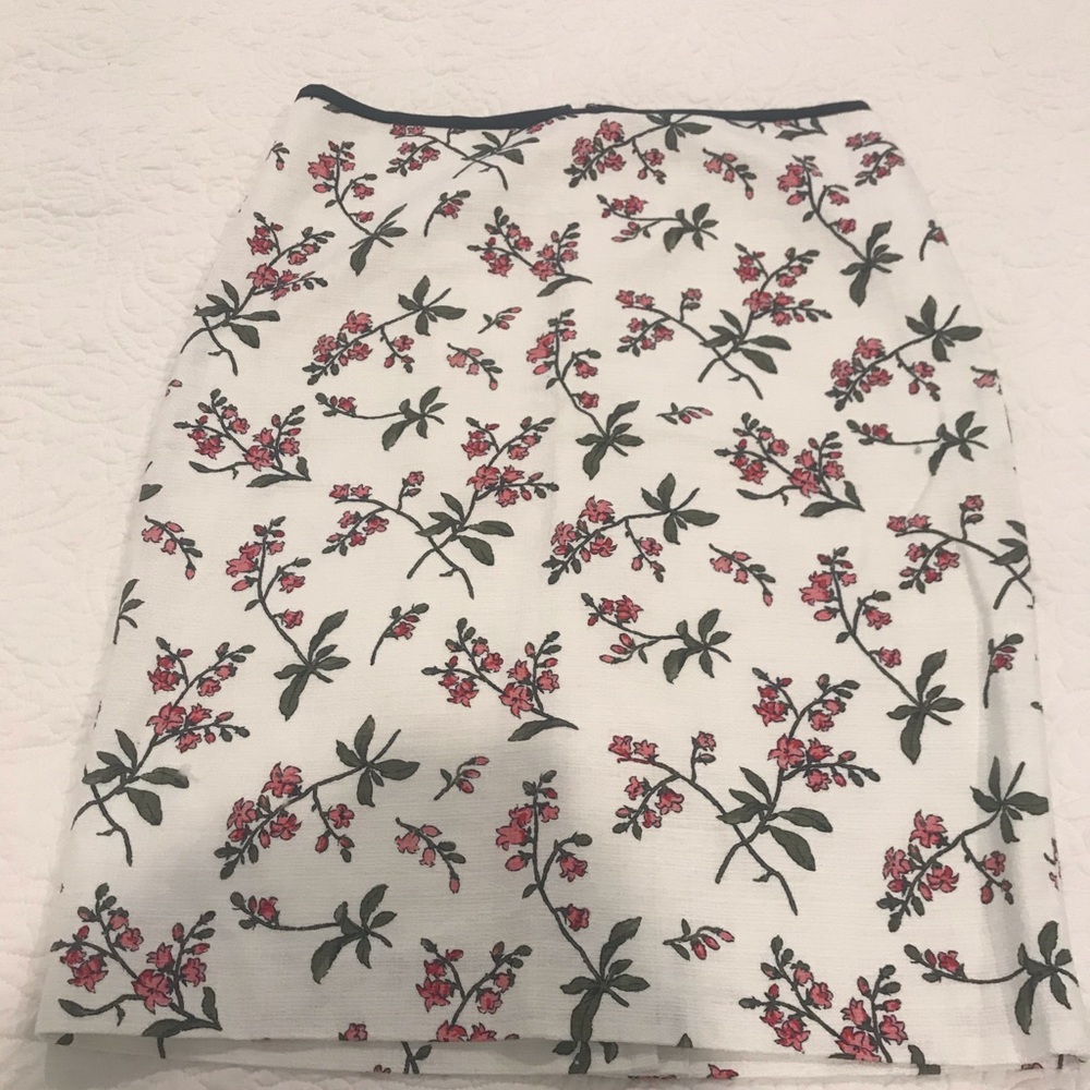Ann Taylor Skirt